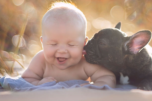 Baby & Bulldog Born On Same Day Think They’re Brothers And Do Everything Together